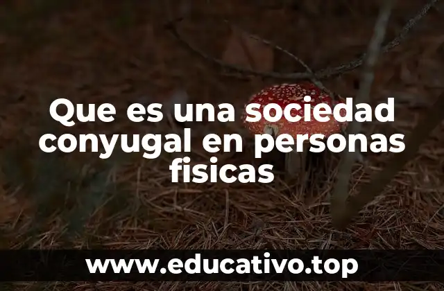 Que es una sociedad conyugal en personas fisicas