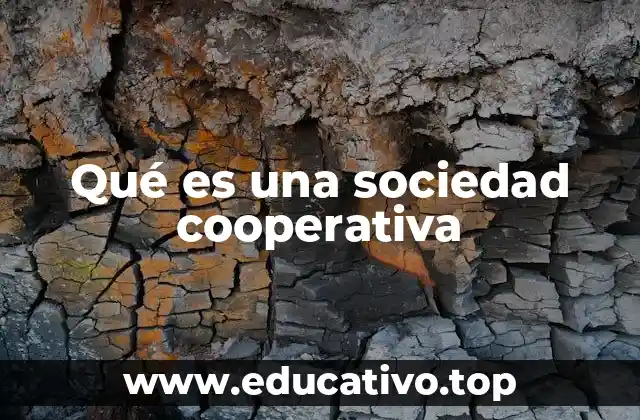 Qué es una sociedad cooperativa