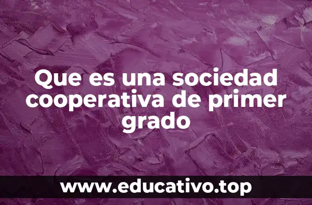 Que es una sociedad cooperativa de primer grado