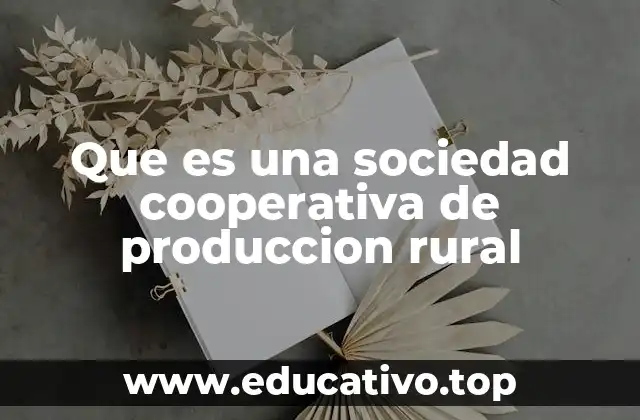 Que es una sociedad cooperativa de produccion rural