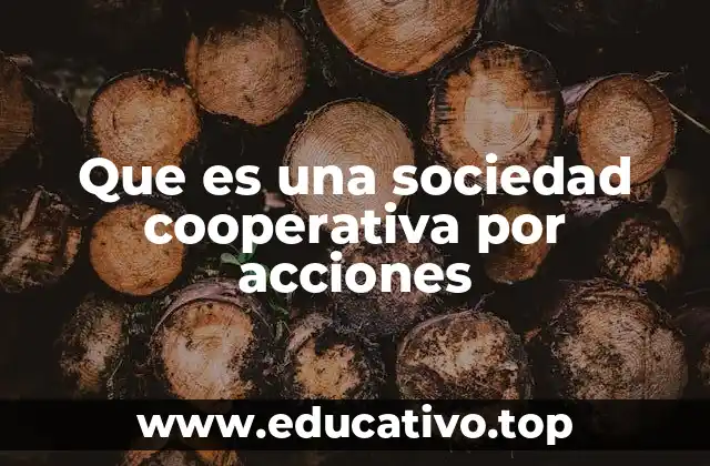 Que es una sociedad cooperativa por acciones