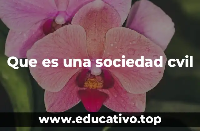 Que es una sociedad cvil