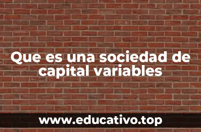 Que es una sociedad de capital variables