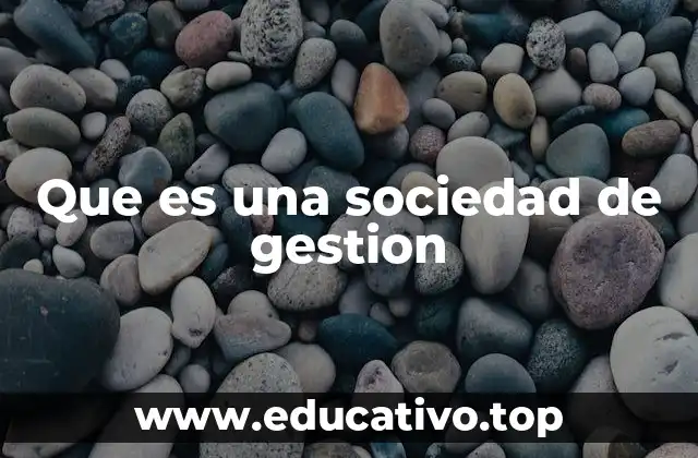 Que es una sociedad de gestion