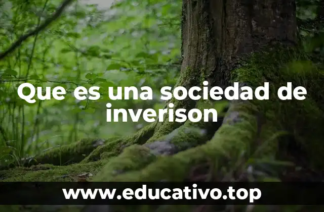 Que es una sociedad de inverison