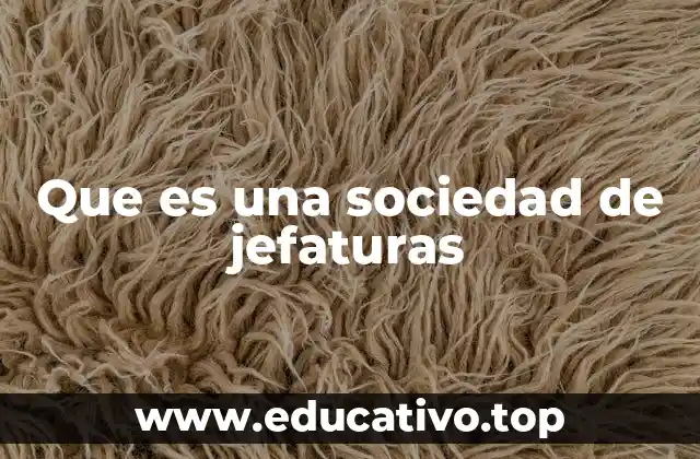 Que es una sociedad de jefaturas