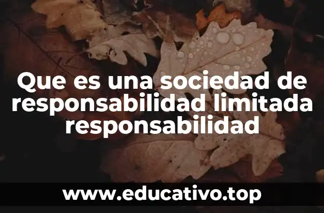 Que es una sociedad de responsabilidad limitada responsabilidad