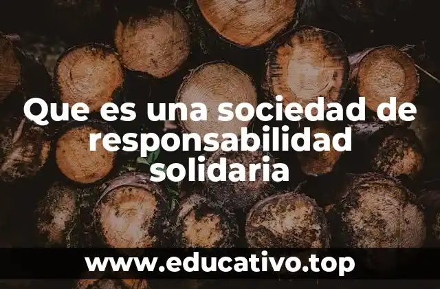 Que es una sociedad de responsabilidad solidaria