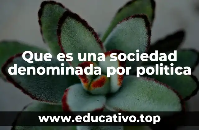 Que es una sociedad denominada por politica