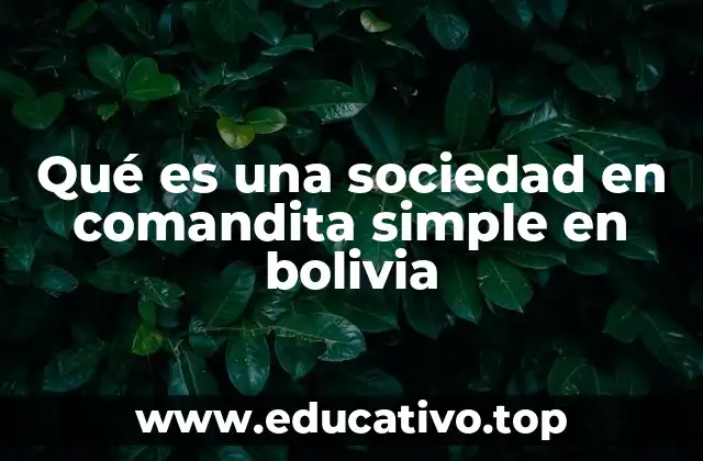 Características de la sociedad en comandita simple