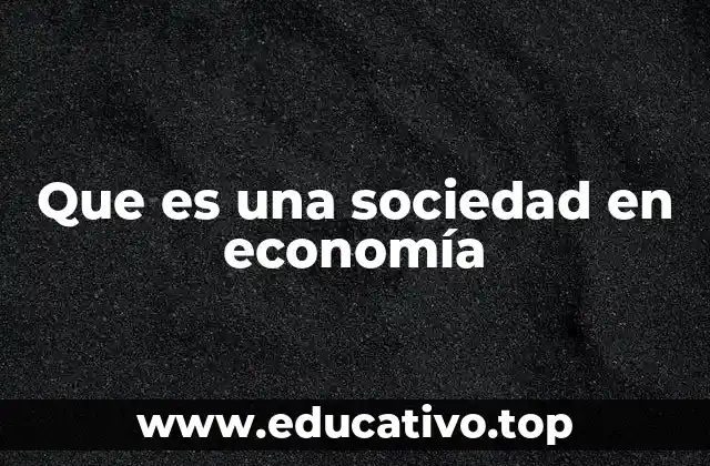 Que es una sociedad en economía