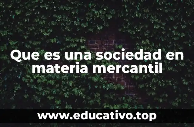 Que es una sociedad en materia mercantil