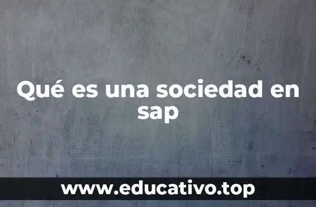 Qué es una sociedad en sap