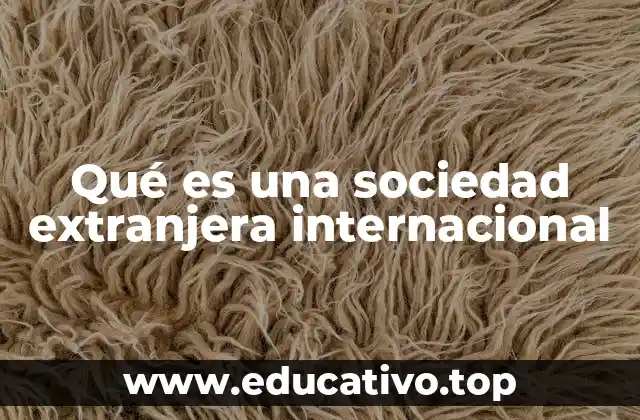 Qué es una sociedad extranjera internacional