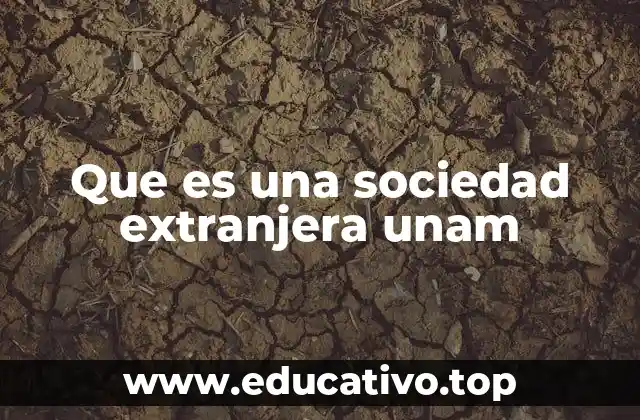 Que es una sociedad extranjera unam