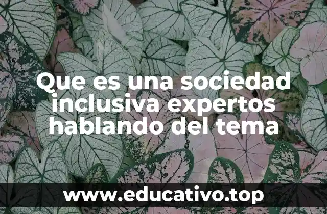 Que es una sociedad inclusiva expertos hablando del tema
