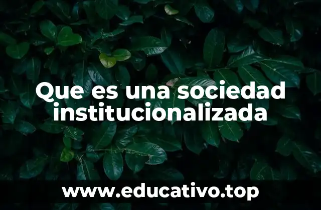 Que es una sociedad institucionalizada