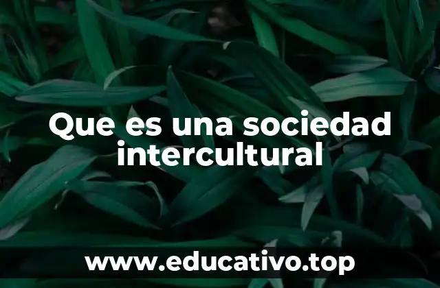 Que es una sociedad intercultural