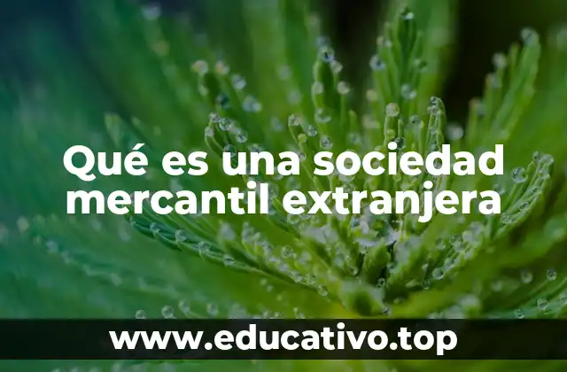 Qué es una sociedad mercantil extranjera