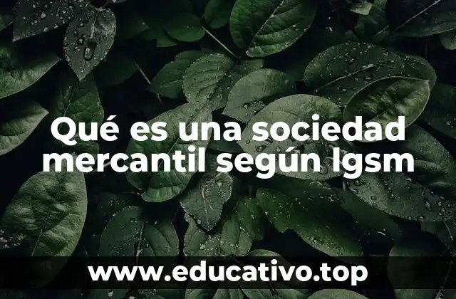 Qué es una sociedad mercantil según lgsm