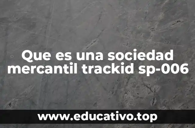 Que es una sociedad mercantil trackid sp-006