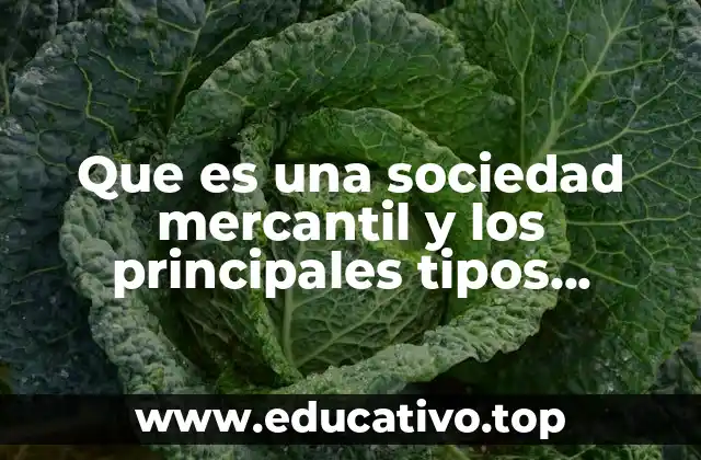 Que es una sociedad mercantil y los principales tipos slideshare