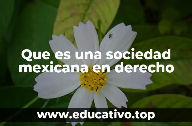 Que es una sociedad mexicana en derecho
