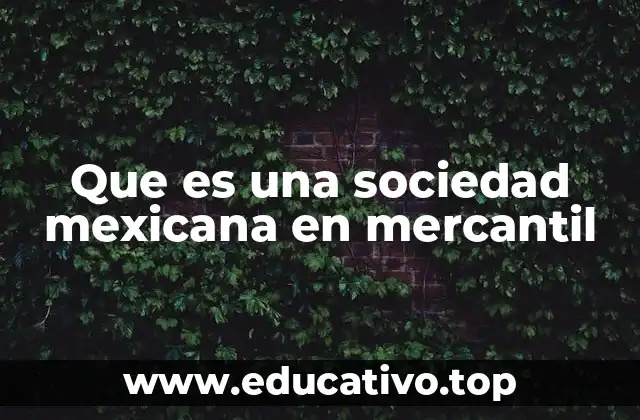 Que es una sociedad mexicana en mercantil