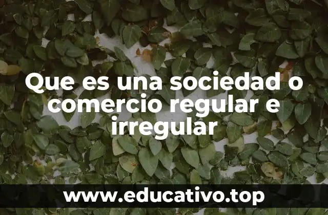 Tipos de actividades que se consideran comercio regular o irregular