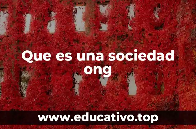 Que es una sociedad ong