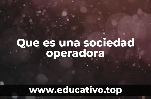 Que es una sociedad operadora