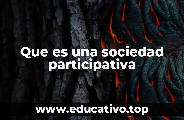 Que es una sociedad participativa