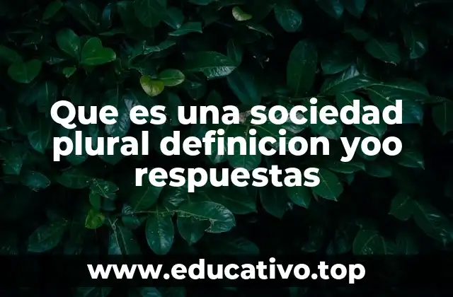 Que es una sociedad plural definicion yoo respuestas