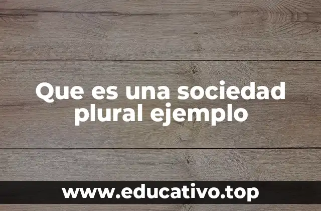 Que es una sociedad plural ejemplo