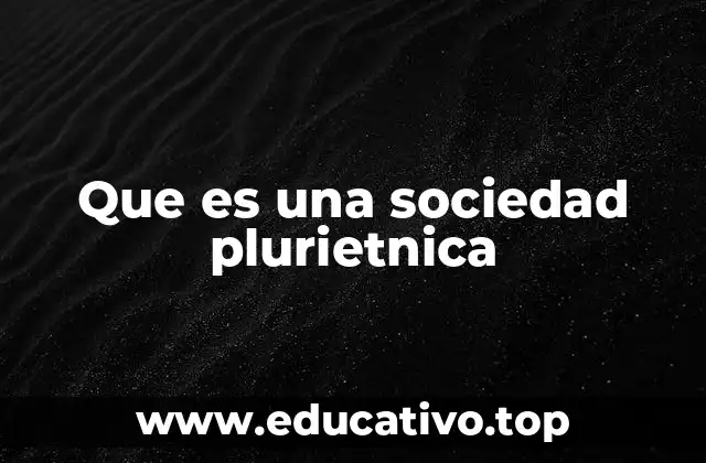 Que es una sociedad plurietnica
