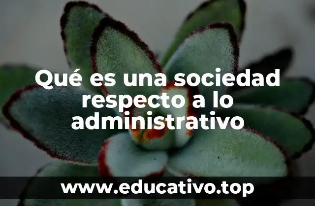 Qué es una sociedad respecto a lo administrativo