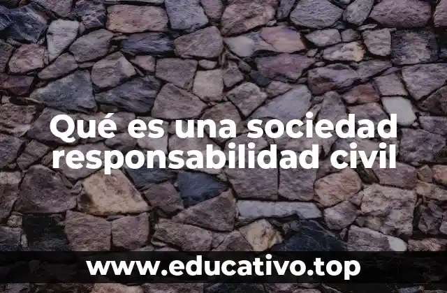 Qué es una sociedad responsabilidad civil