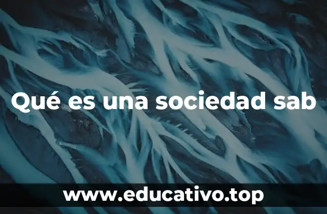 Qué es una sociedad sab