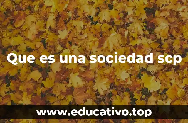 Que es una sociedad scp
