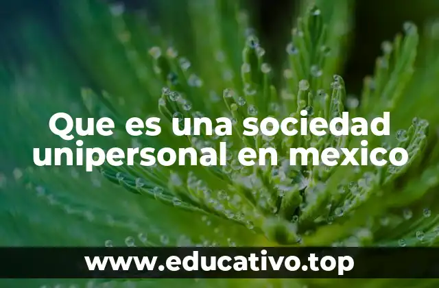 Que es una sociedad unipersonal en mexico