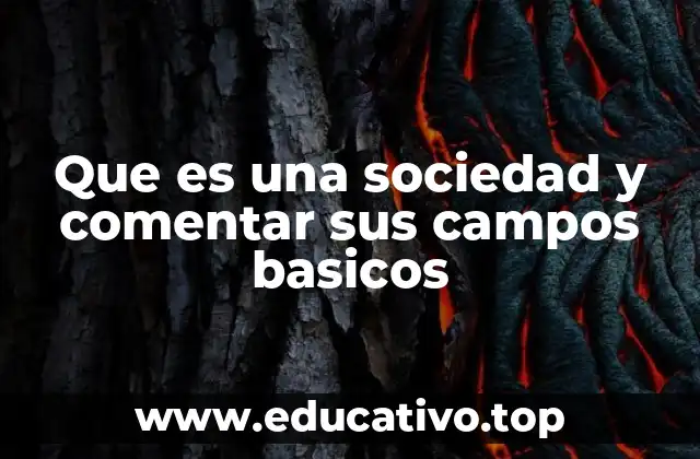 Que es una sociedad y comentar sus campos basicos