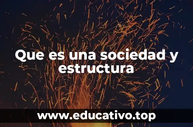 Que es una sociedad y estructura