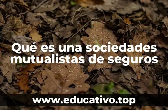 Qué es una sociedades mutualistas de seguros