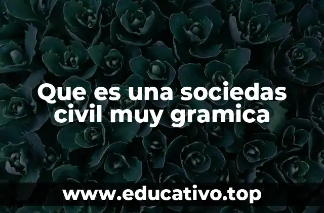 Que es una sociedas civil muy gramica