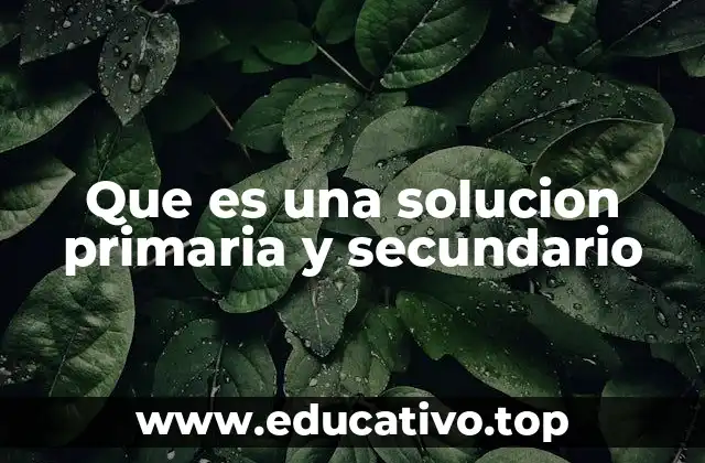 Que es una solucion primaria y secundario