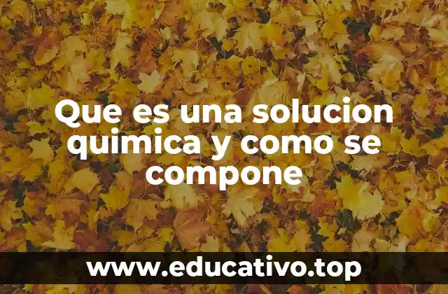 Componentes de una solución química