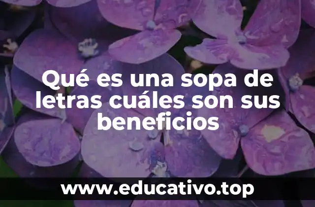 Qué es una sopa de letras cuáles son sus beneficios