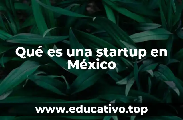 Qué es una startup en México