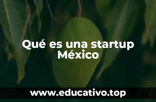 Qué es una startup México
