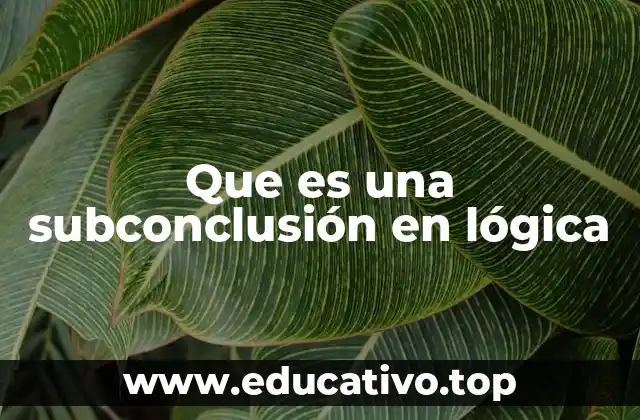 Que es una subconclusión en lógica